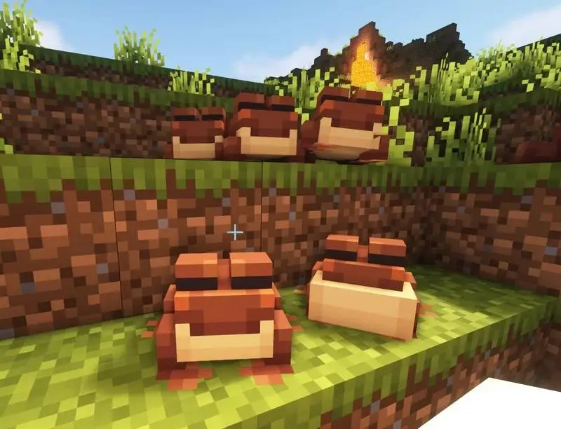 Новый вид оранжевых лягушек