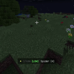 Радарный жилет в игре