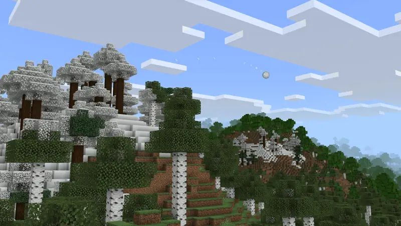 Новый вид листвы у заснеженных деревьев