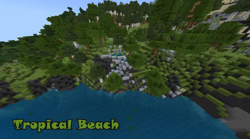 Тропический пляж