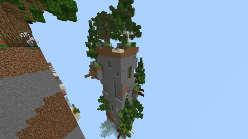 Чанк с лесным биомом с множеством деревьев