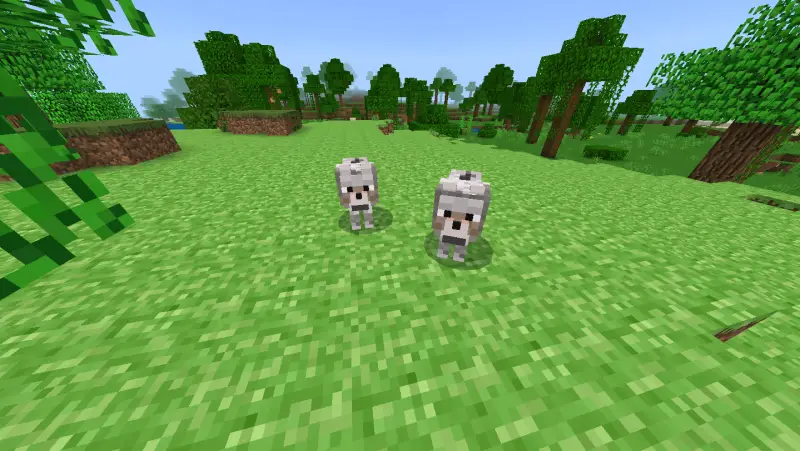 Старый вид волков