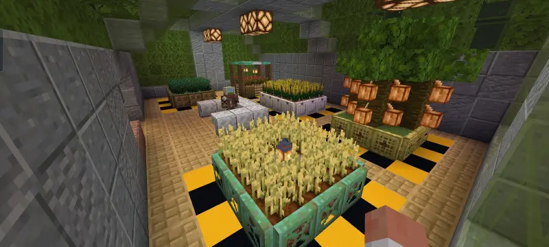 Зона пшеницы