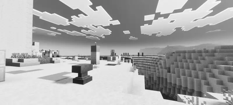 Новый вид пустыни