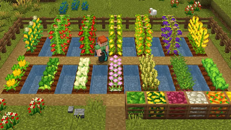 Новые культуры