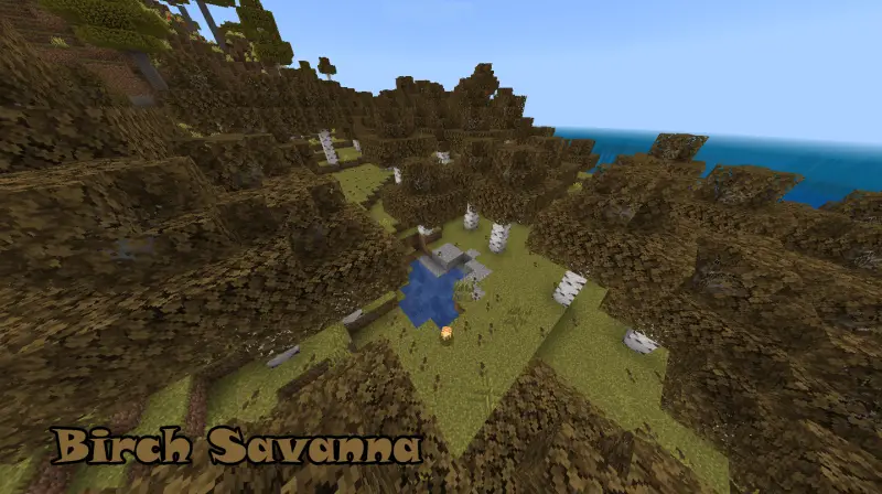 Цветочный лес саванны