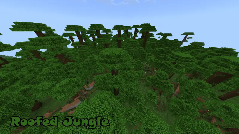 Лес джунглей