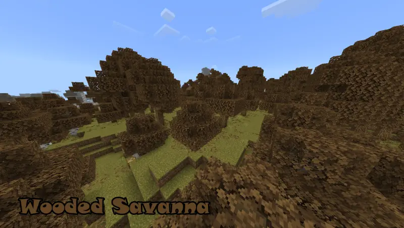 Берёзовый лес саванны