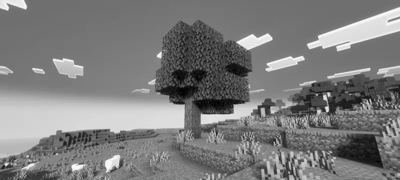 Новый вид блоков