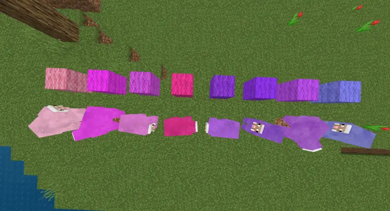 Овцы с розовыми оттенками