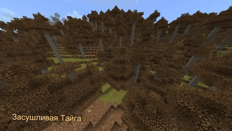 Засушливая тайга