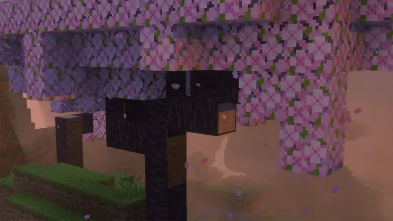 Вишневое дерево с опадающими листьями