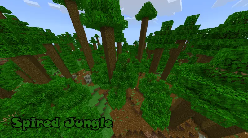 Джунгли с длинными деревьями