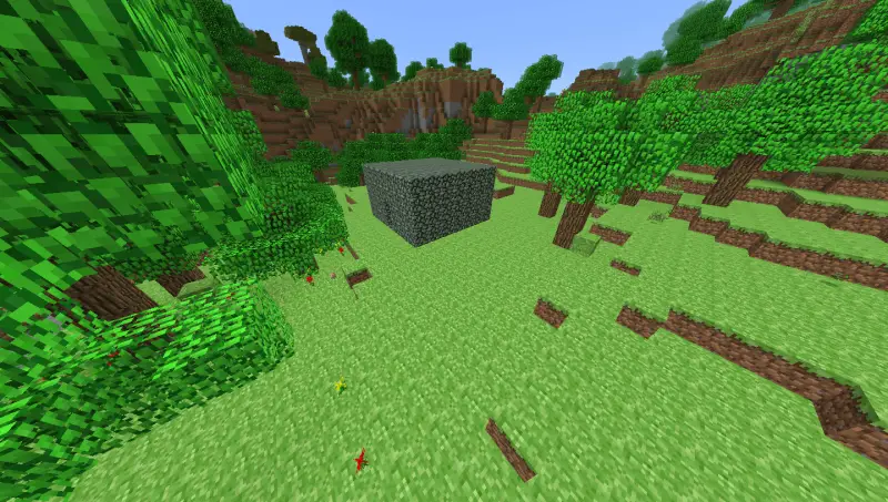 Старый вид деревьев