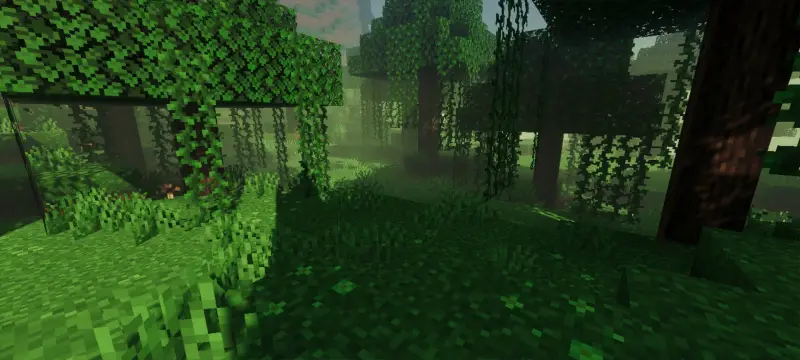 Качественные тени и яркие лучи на поляне