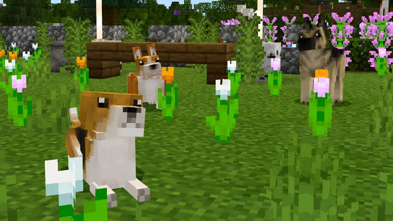 Скриншот Питомцы: собаки №1