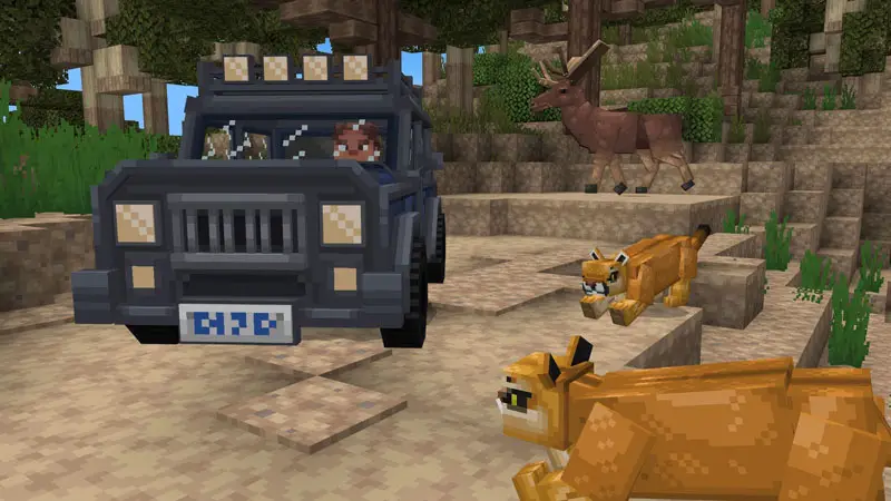 Скриншот Исследователи дикой природы: лес №3