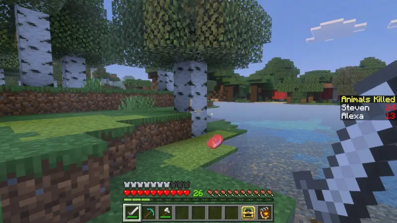 Скриншот Счетчик прожитых дней №6