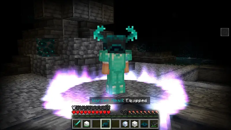 Скриншот Дополнение Mob Heads №10