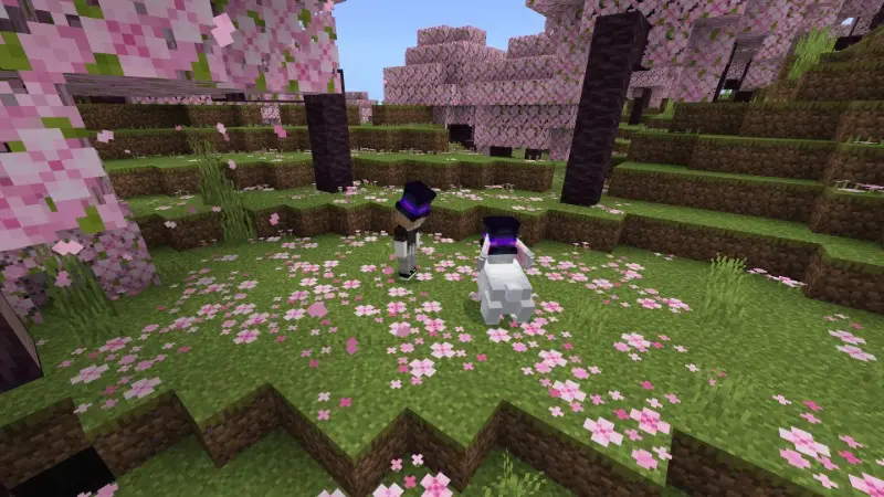 Скриншот Волшебные чудеса №1