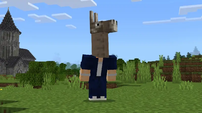 Скриншот Расширение «Головы» №3