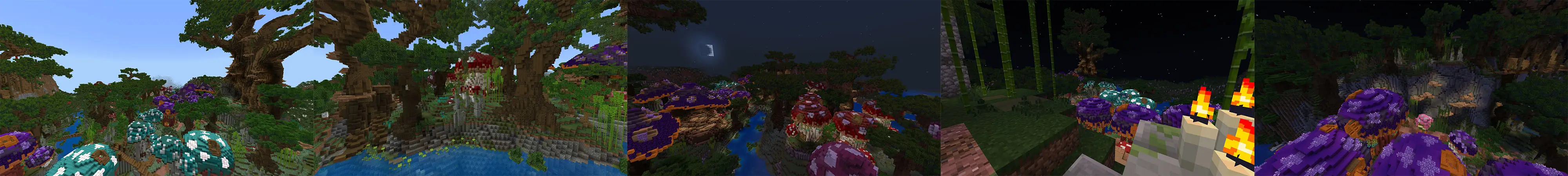 Грибной лес panorama