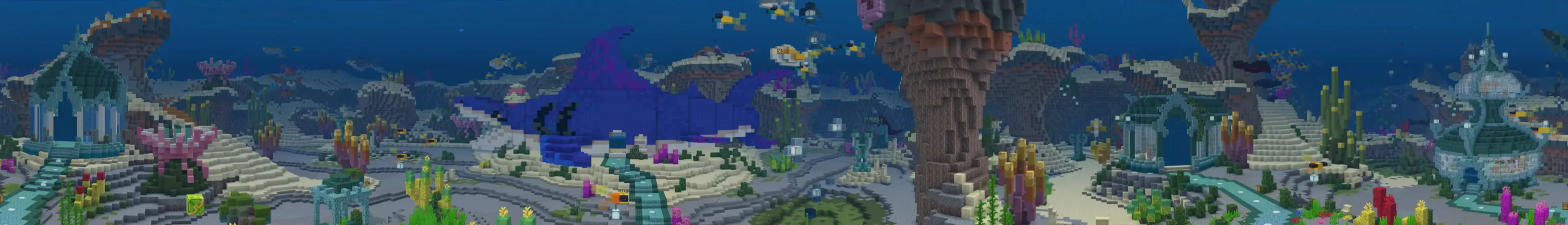 Как жить внутри акулы? panorama