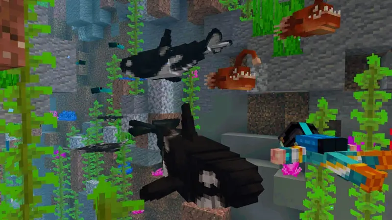 Скриншот Исследователи дикой природы: океан №3