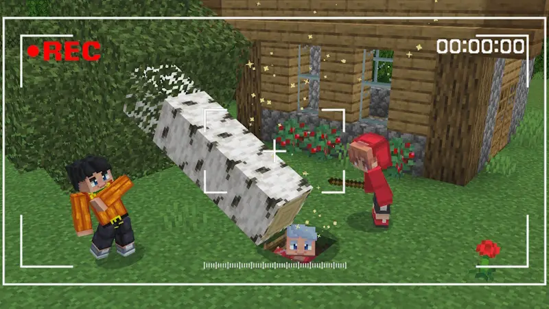 Скриншот Дополнение «Набор безопасности» №2