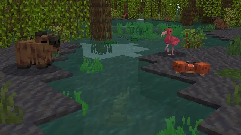 животные и структуры №8