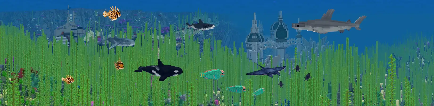 Жизнь русалок panorama