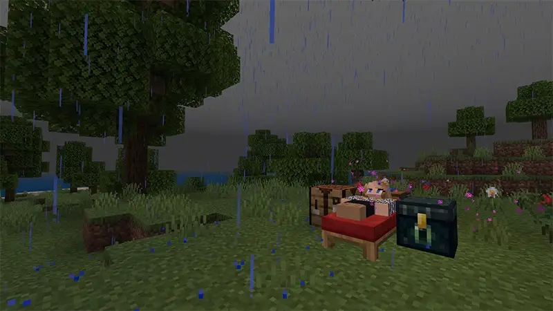 Скриншот Дешевый отель против дорогого №3