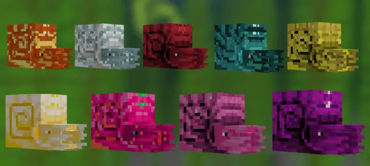 Новые виды наутилусов