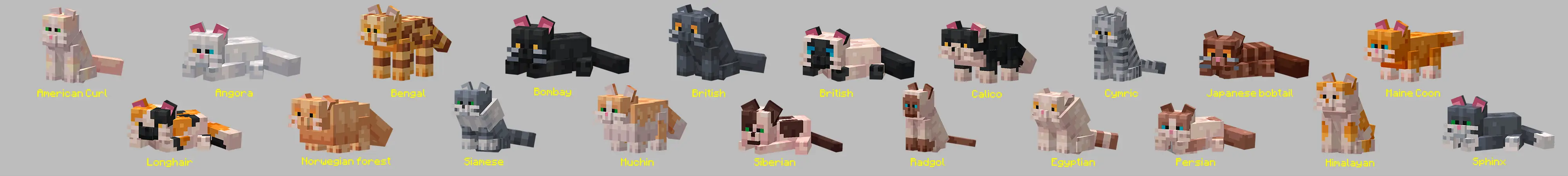 СОЗДАВАЕМЫЕ КОШКИ panorama