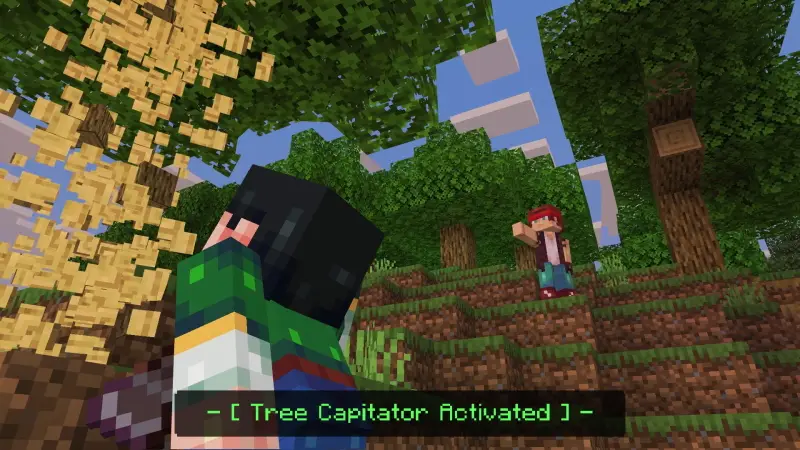 Скриншот Дополнение «Полезные приспособления» №2