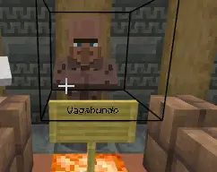 Бродяга из деревни