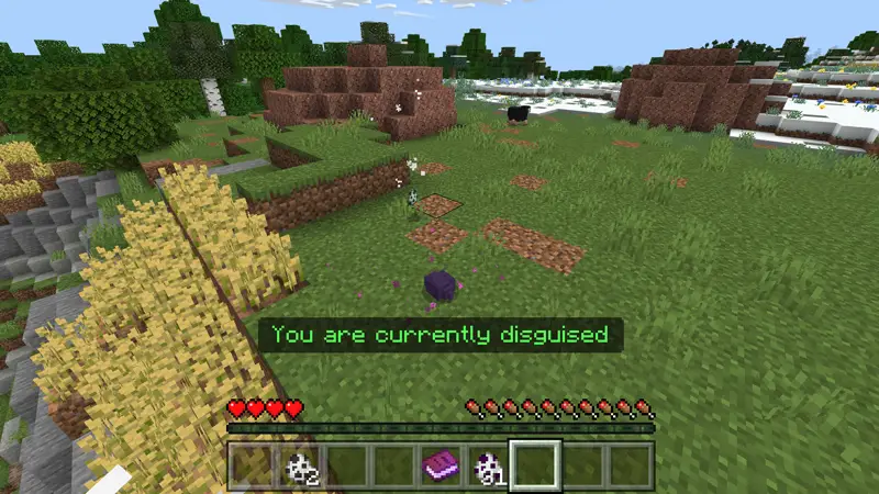 Скриншот СОЗДАНИЕ МАСКИРОВКИ ПОД МОБОВ! №3