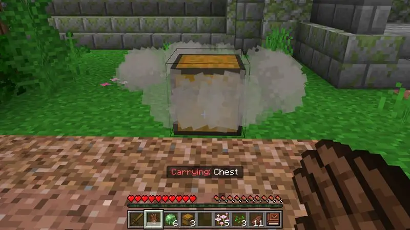 Скриншот Дополнение Carry More №8