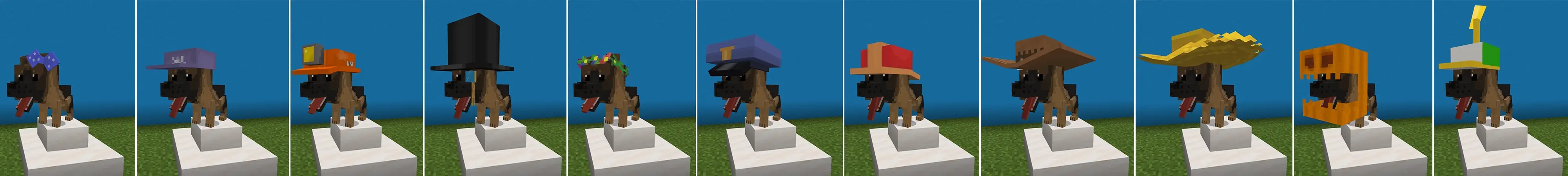 Возьмите питомца panorama