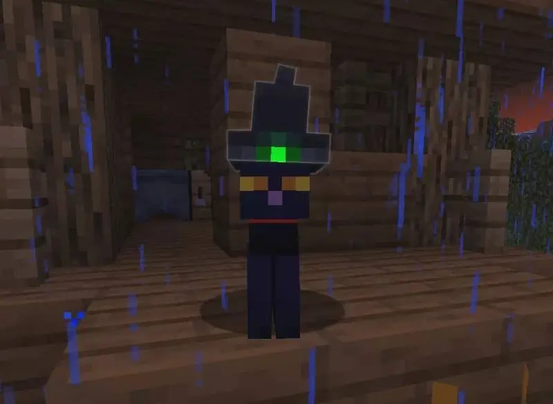 Черный кот в ведьминской шляпе