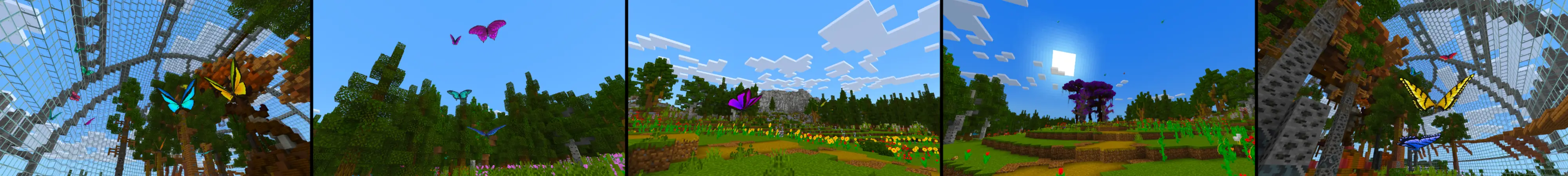 Бабочки panorama