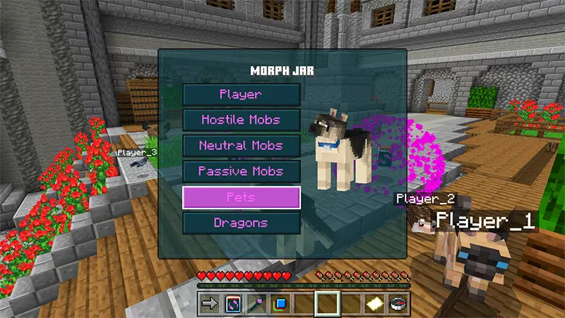 Скриншот НАБОР ДЛЯ ПРЕВРАЩЕНИЯ! №1