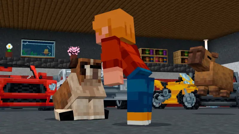 Скриншот МЕГАОСОБНЯК №2