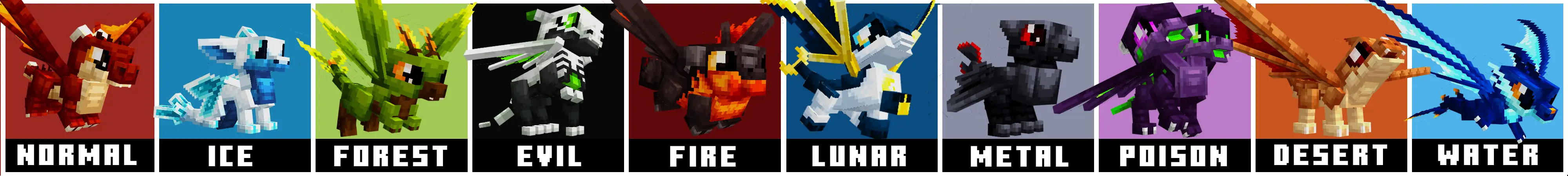 РУЧНЫЕ ДРАКОНЫ panorama