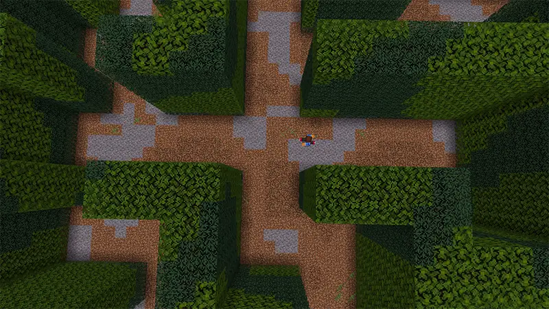 Скриншот Побег из лабиринта на скорость №2