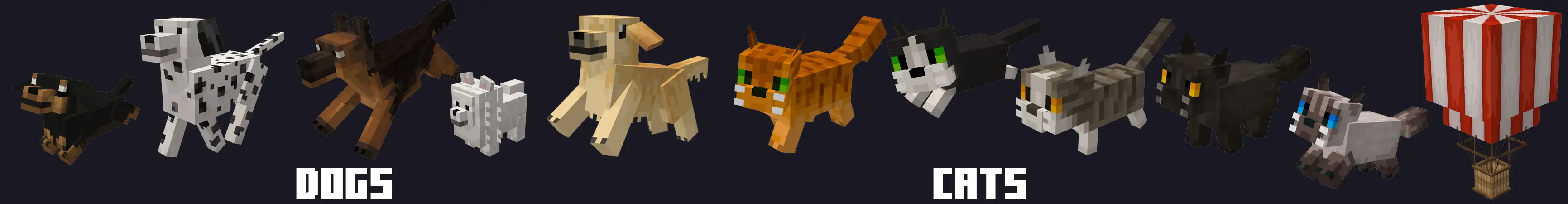 Кошки и собаки panorama