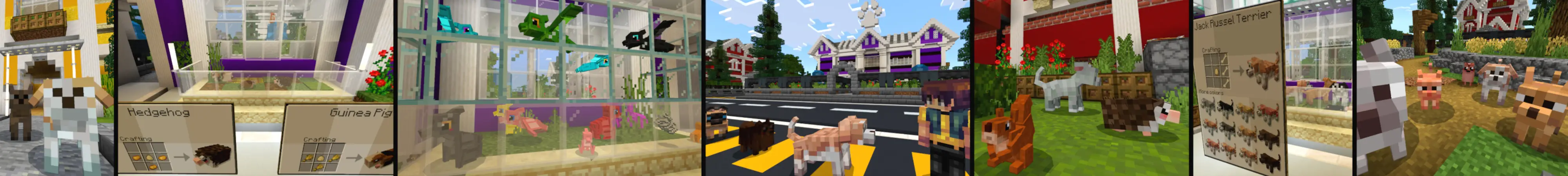 СОЗДАВАЕМЫЕ ПИТОМЦЫ panorama