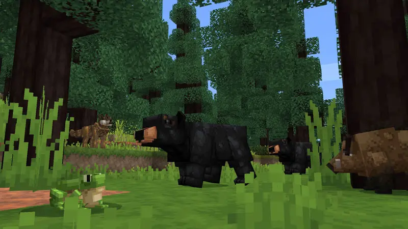 Скриншот Исследователи дикой природы: лес №4