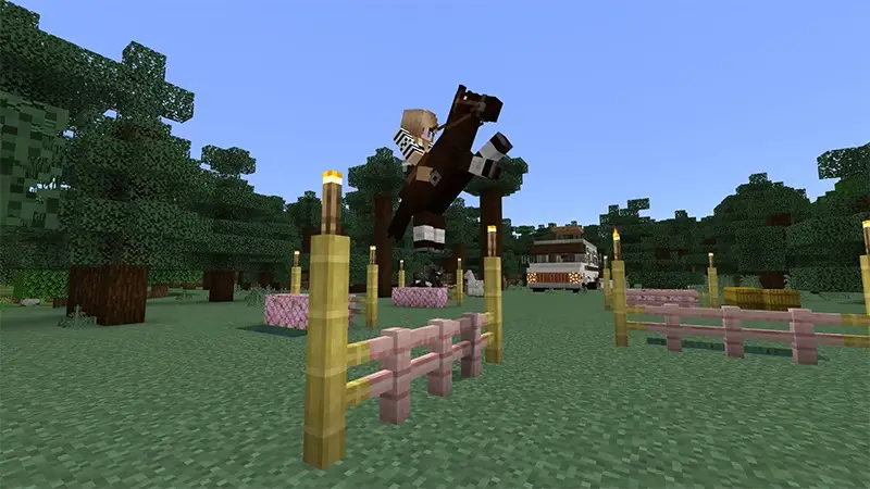 Скриншот Дешевый отель против дорогого №5