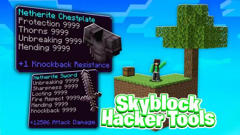 Хакерские инструменты Skyblock